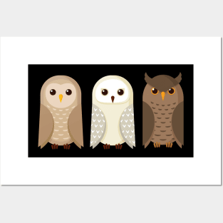 Owls Posters and Art